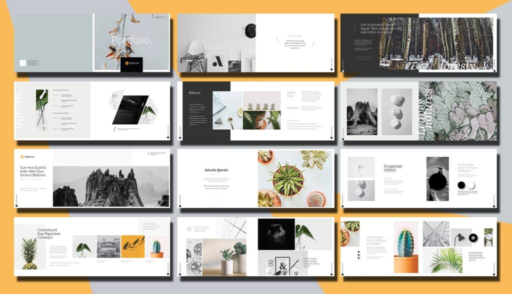 Portfolio