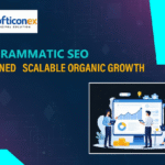 Programmatic SEO